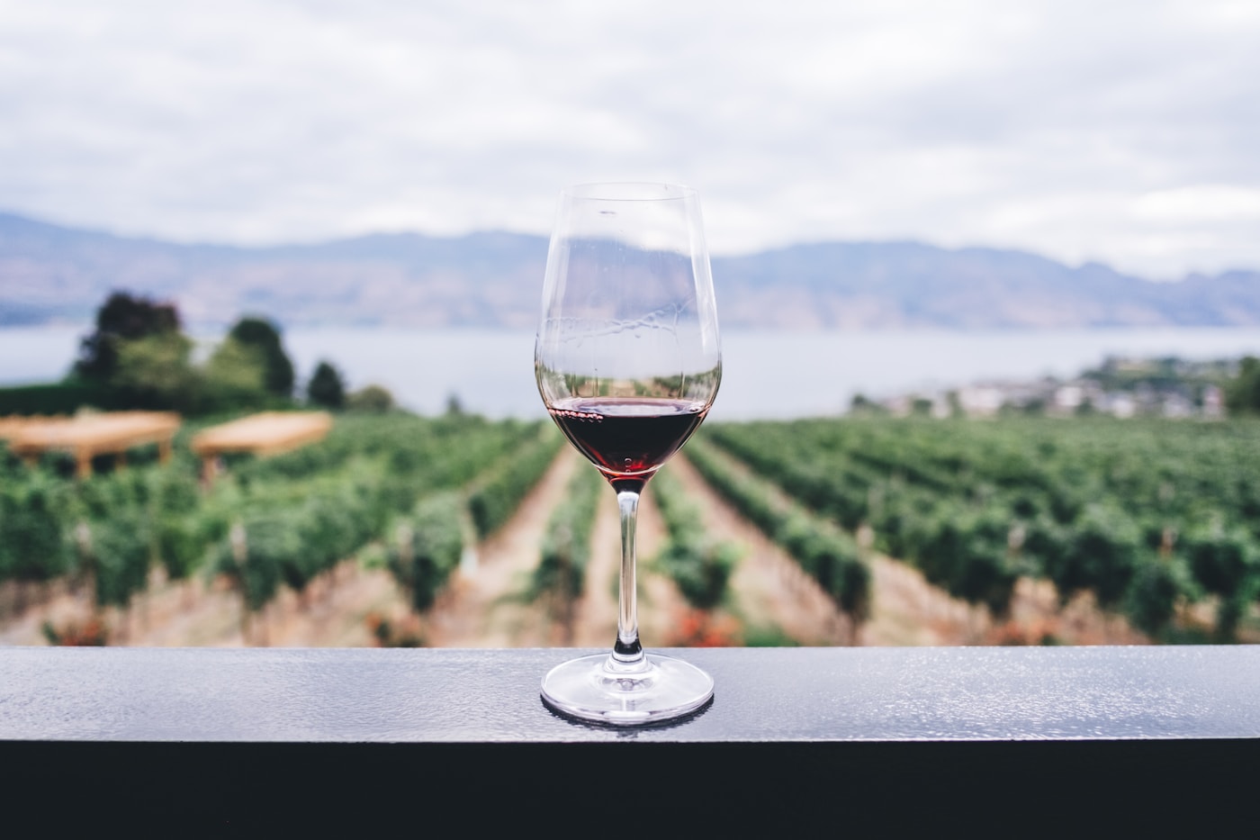 Agricultural & winery commercial construction